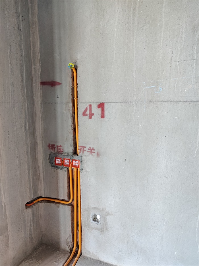 IMG_20220609_084726.jpg