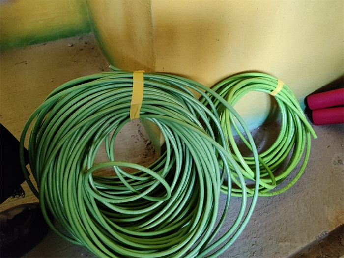 IMG_20220606_172437.jpg
