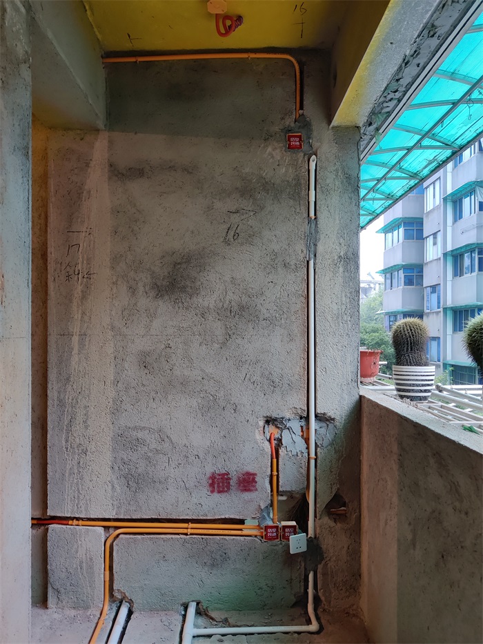 IMG_20220612_162929.jpg
