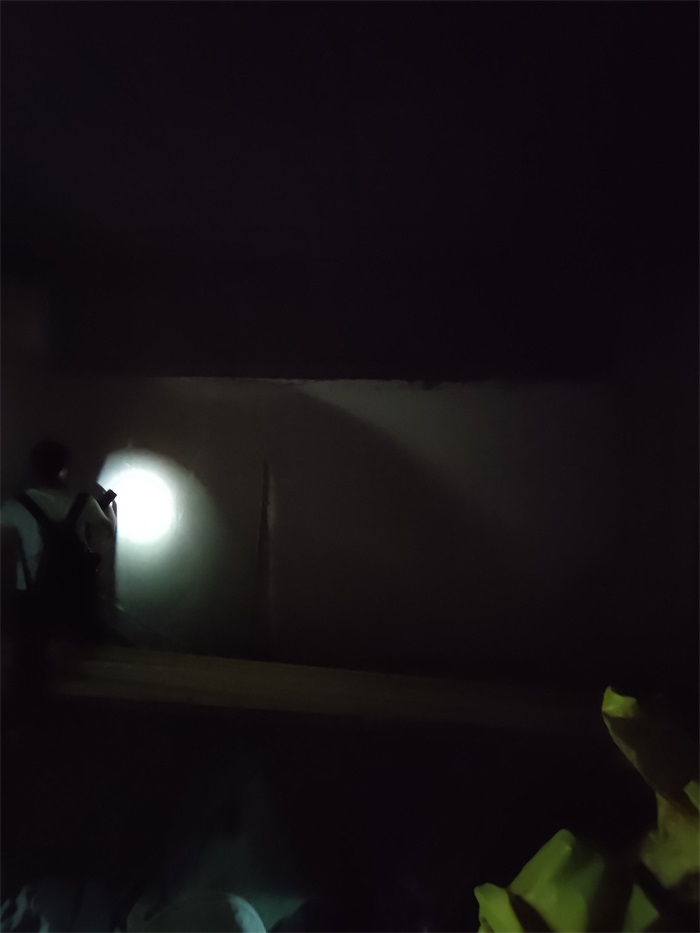 IMG_20220605_110117.jpg