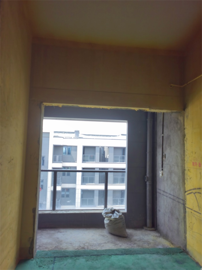 IMG_20220615_100307.jpg