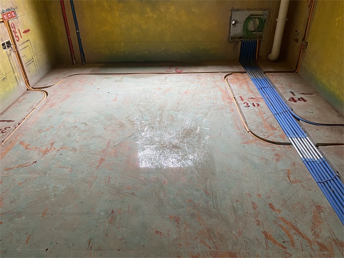 IMG_0500(1).JPG
