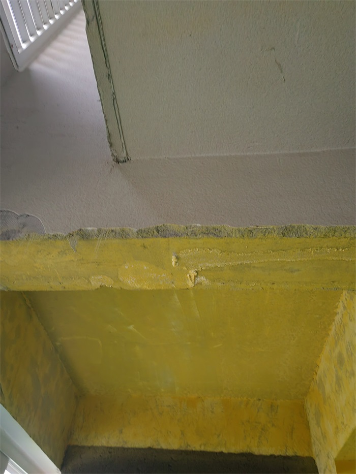 IMG_20220620_130623.jpg