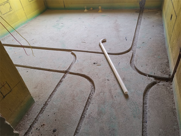 IMG_20220608_084611.jpg