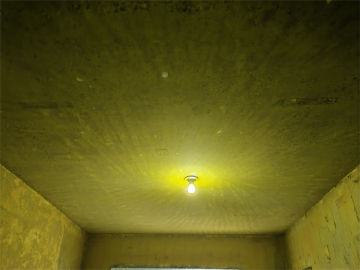 IMG_20220620_131639.jpg