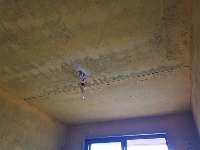 IMG_20220610_153825.jpg