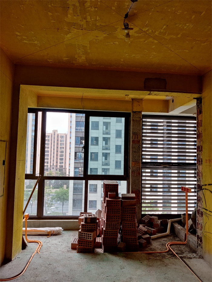 IMG_20220613_094942.jpg