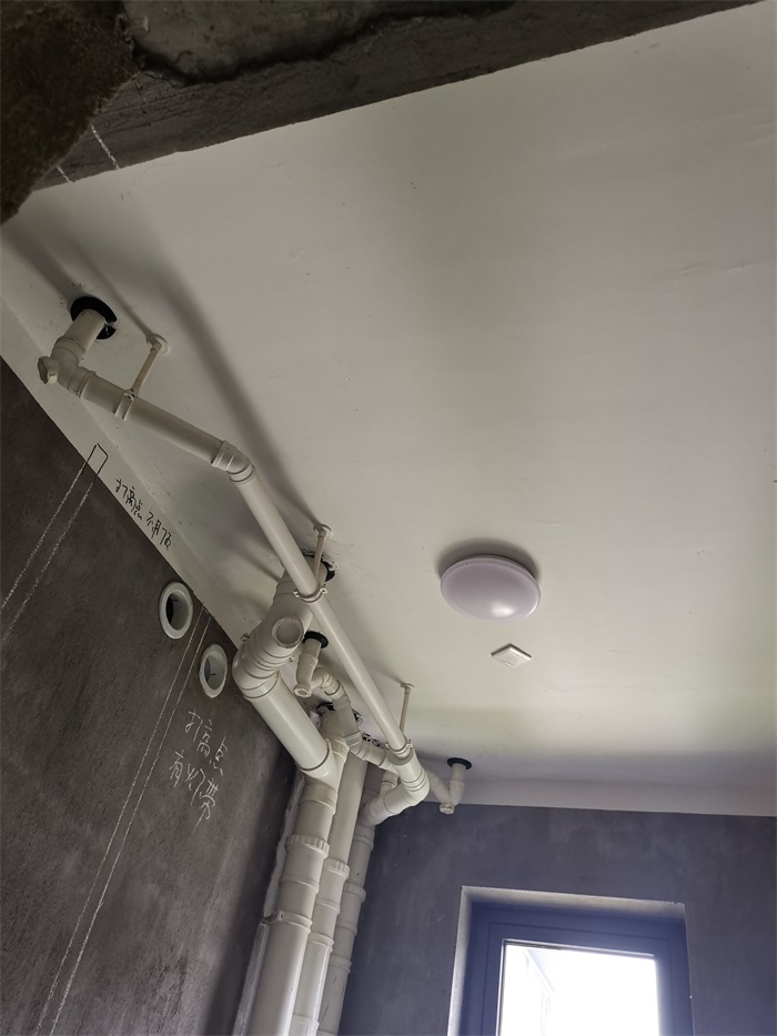 IMG_20220615_112910.jpg