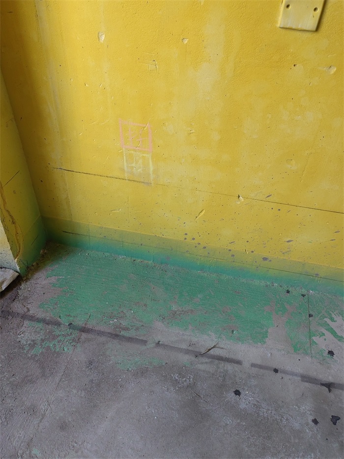 IMG_20220624_093636.jpg