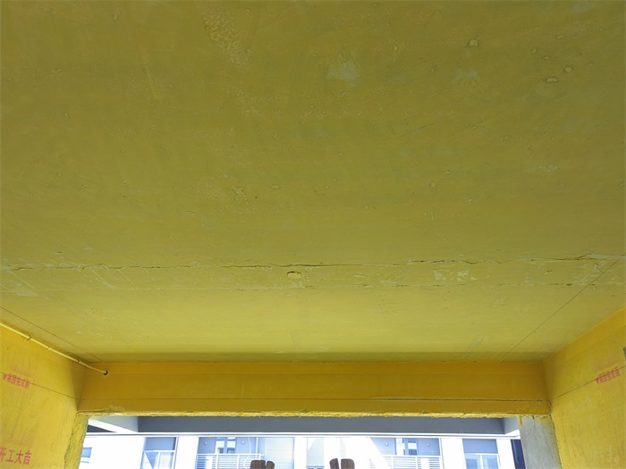 IMG_20220624_092935.jpg