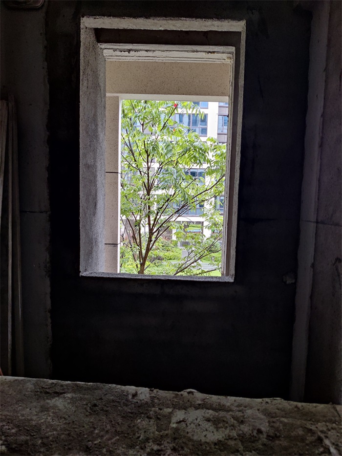 IMG_20220610_084017.jpg