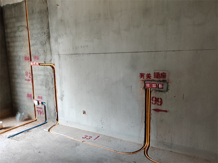 IMG_20220621_082208.jpg