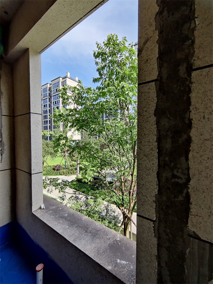 IMG_20220627_083338.jpg