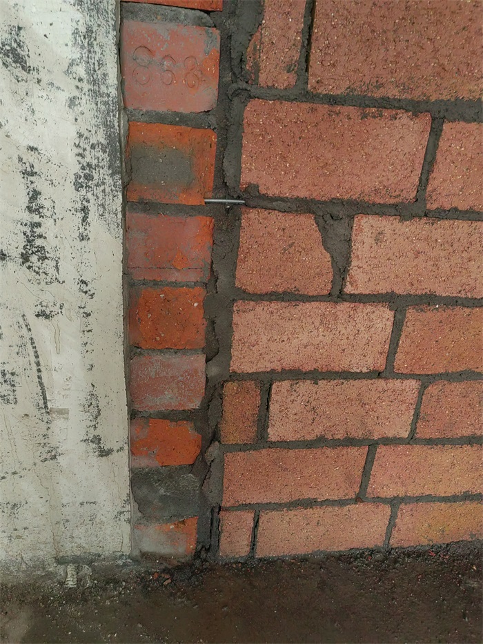 IMG_20220629_101947.jpg