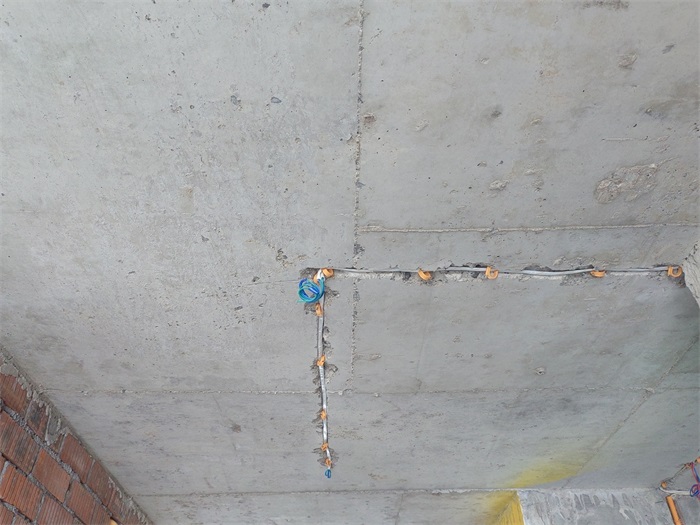 IMG_20220629_154100.jpg
