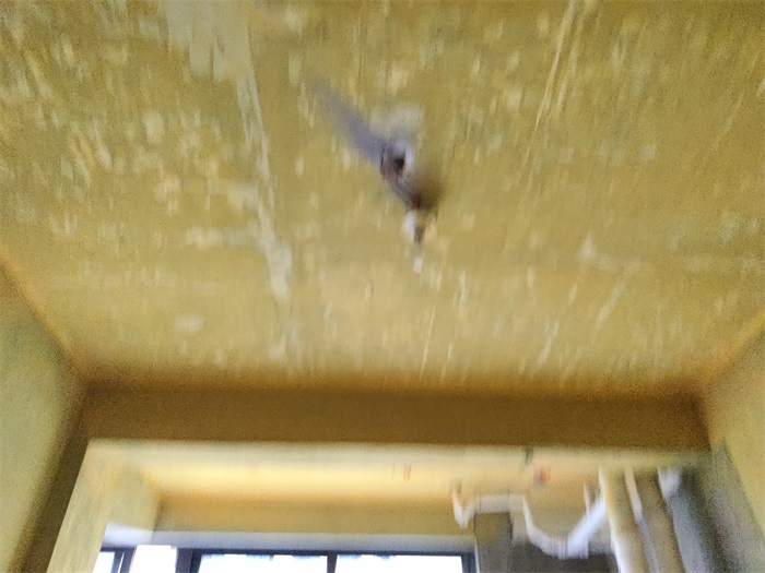 IMG_20220630_170247.jpg