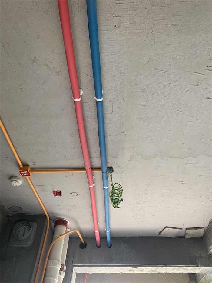 IMG_9825.JPG