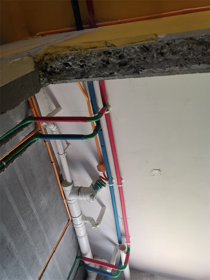 IMG_20220709_091955.jpg