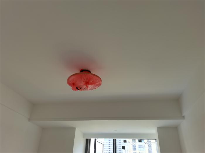 ac9446e3d2f7e1a71ff6cfe9cfea061.jpg