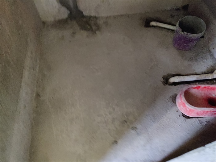 IMG_20220712_090637.jpg