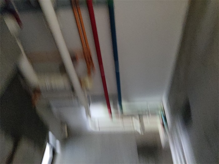 IMG_20220712_090650.jpg