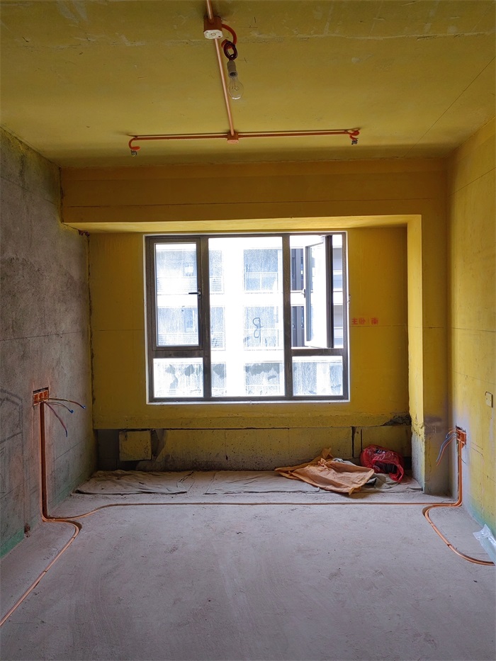 IMG_20220712_101733.jpg
