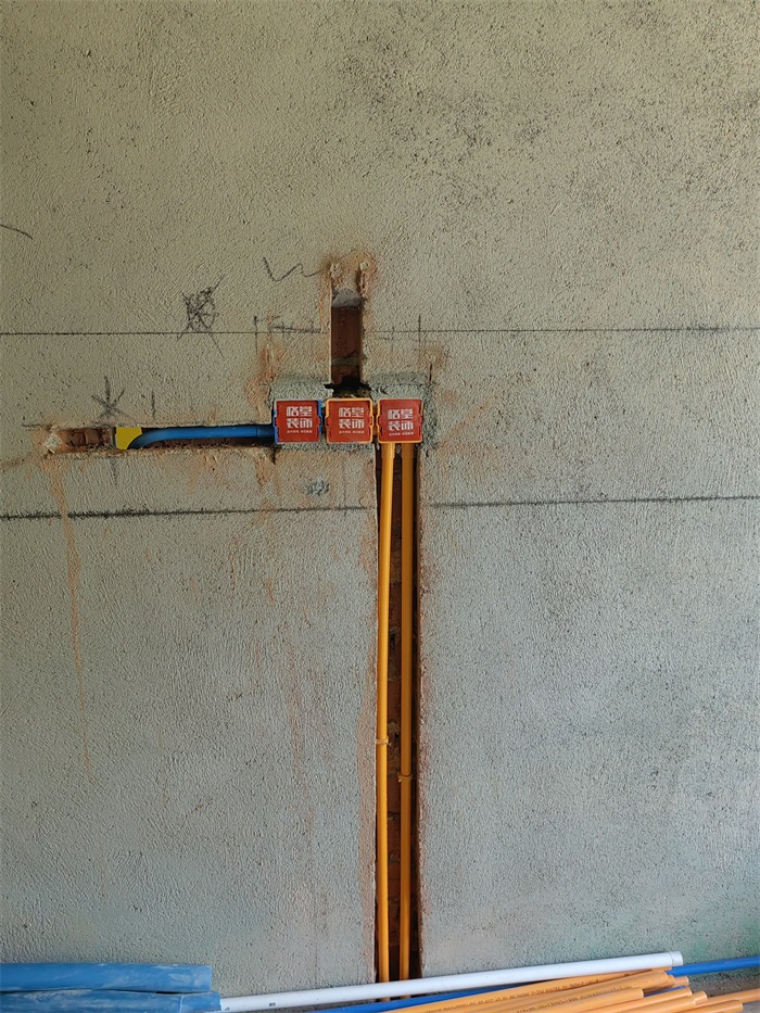 IMG_20220715_095604.jpg