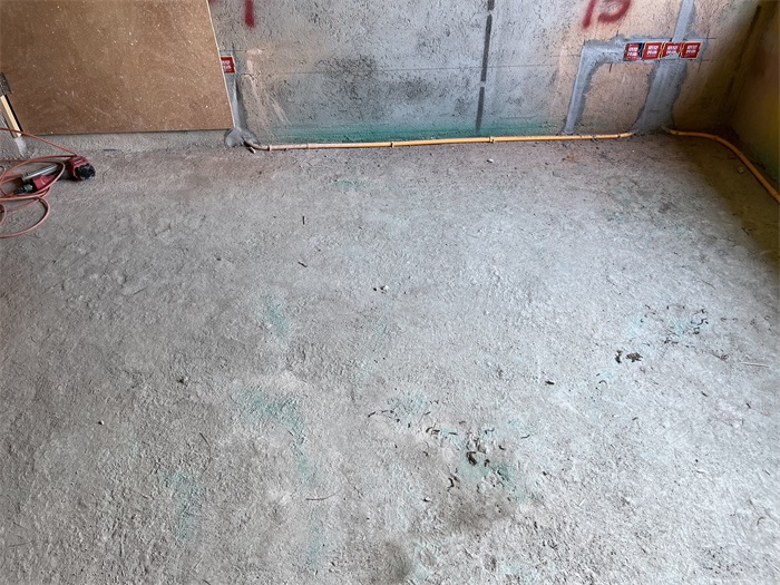 IMG_2489 - ����.JPG