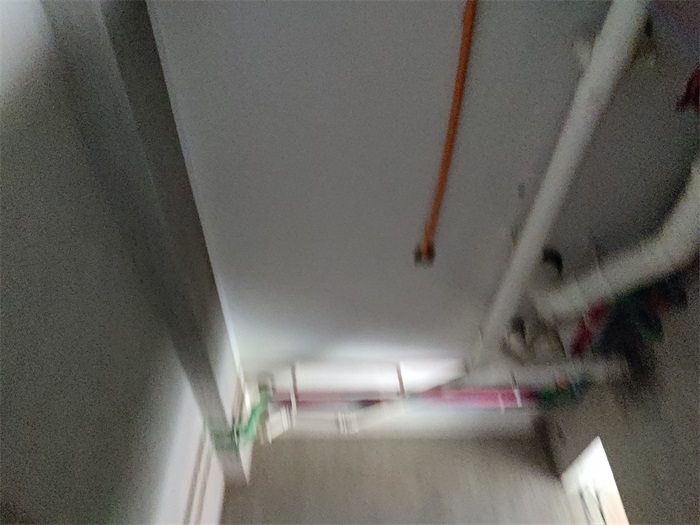 IMG_20220712_094619.jpg