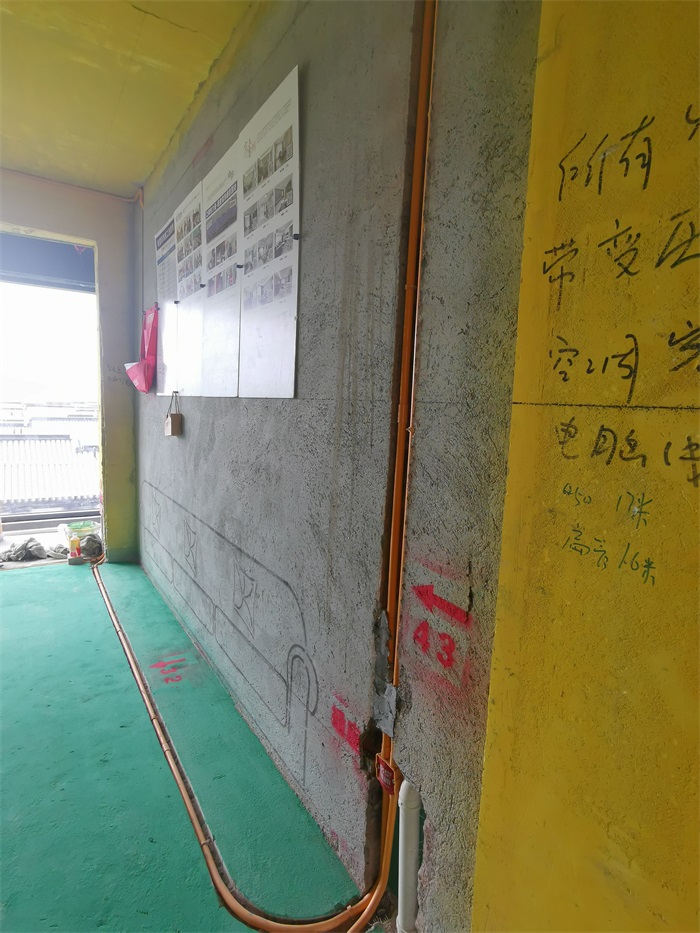 IMG_20220717_101746.jpg