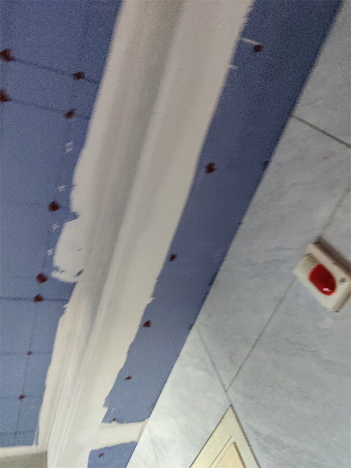 IMG_20220723_103629.jpg