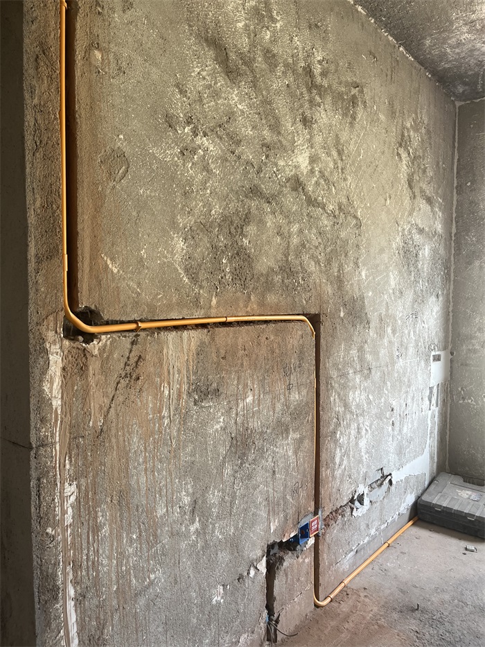 IMG_2679.JPG