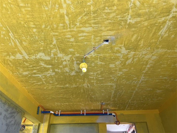 IMG_3703.JPG