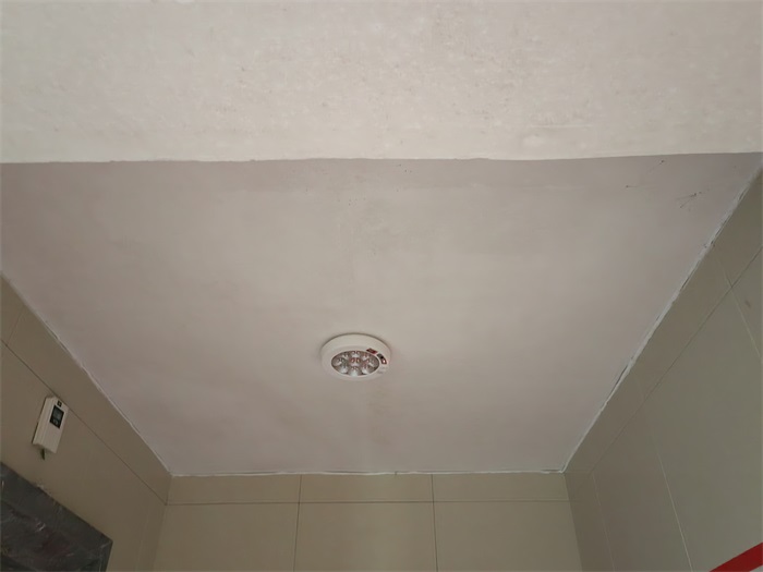 IMG_20220728_085055.jpg