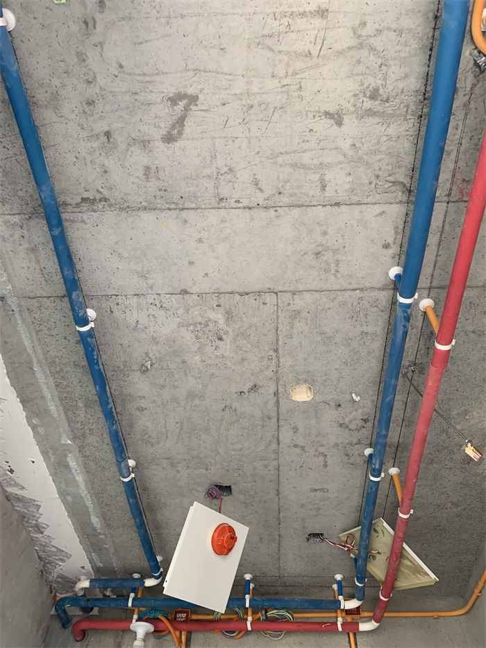 IMG_5462.JPG