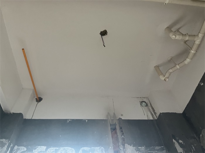 IMG_4175(1).JPG