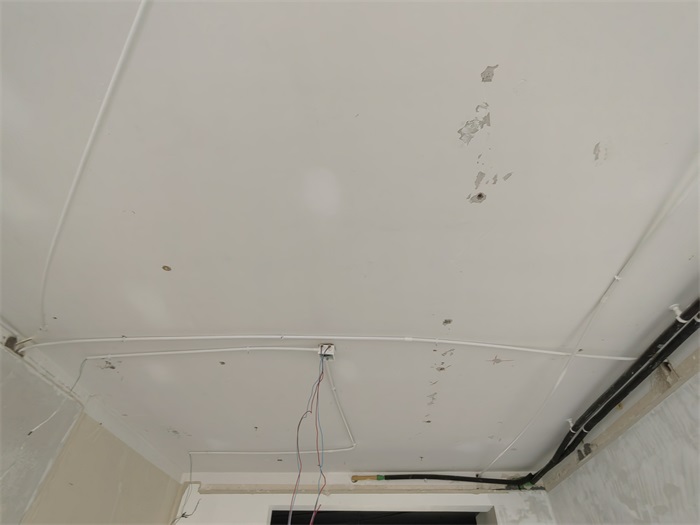 IMG_20220727_074832.jpg