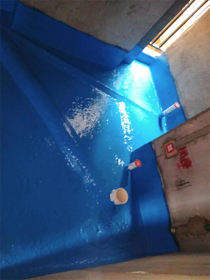 mmexport1659161659953.jpg