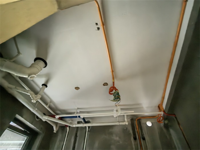 IMG_20220726_170929.jpg