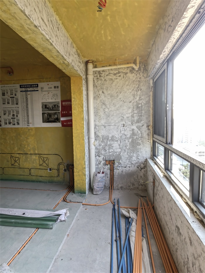 IMG_20220728_082050.jpg