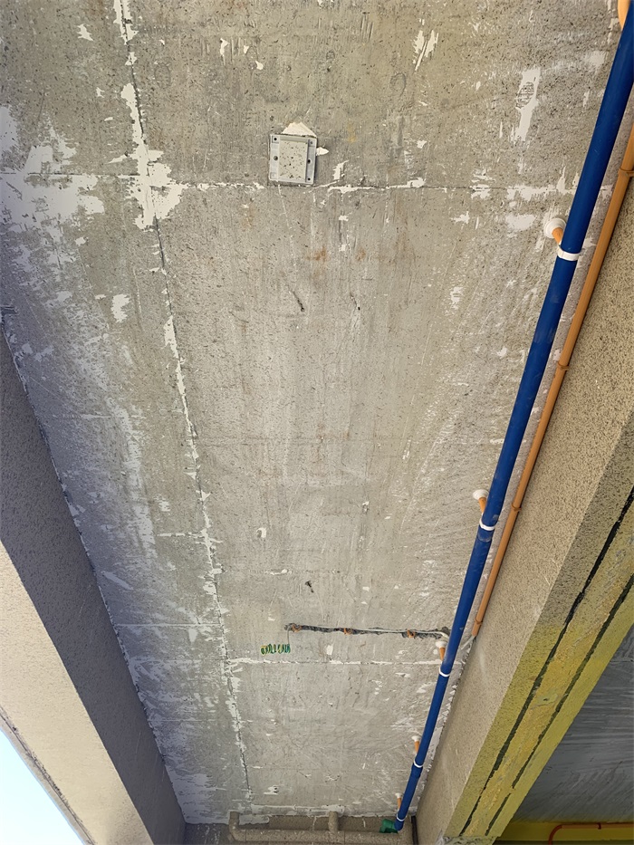 IMG_7420.JPG