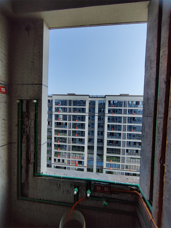 IMG_20220728_082241.jpg