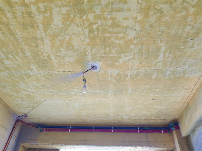 IMG_20220731_143801.jpg