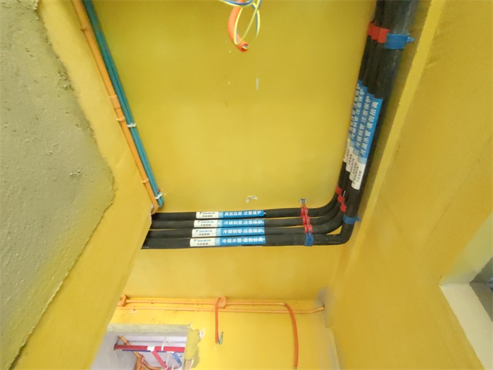 IMG_20220802_090246.jpg