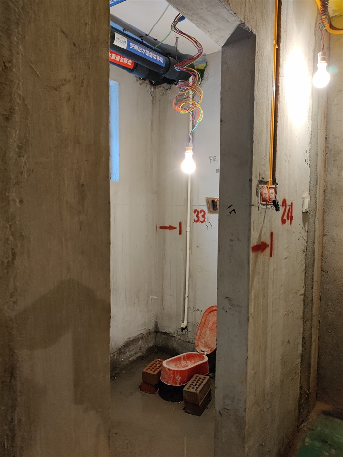 IMG_20220731_160225.jpg