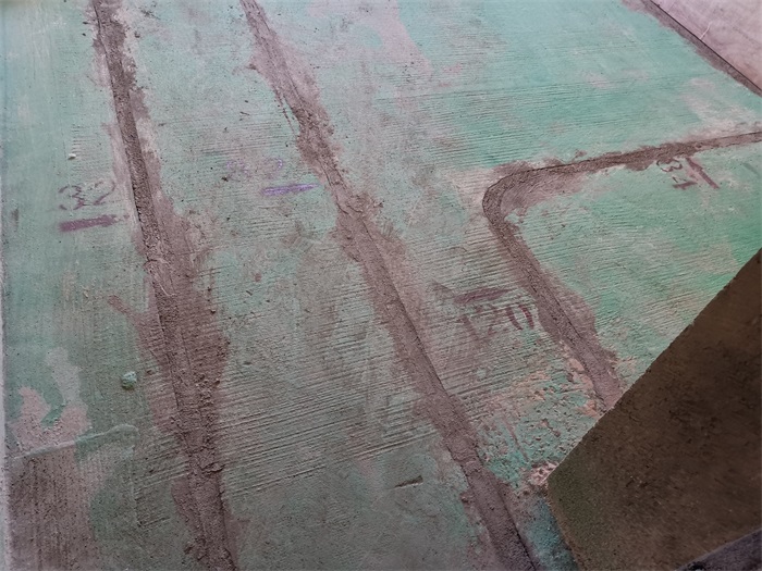 IMG_20220805_104402.jpg
