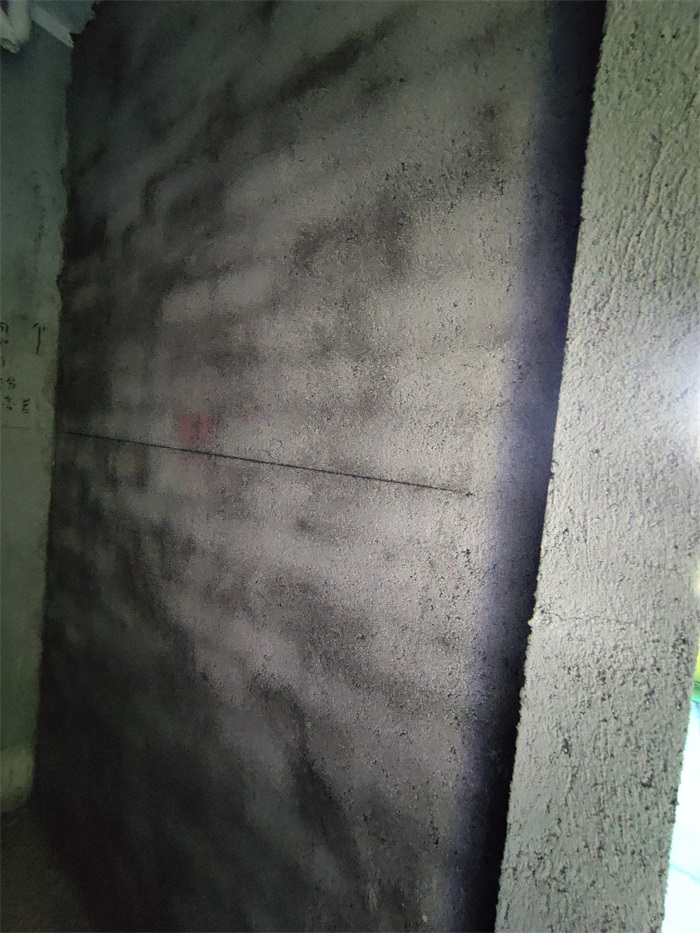 IMG_20220805_090316.jpg