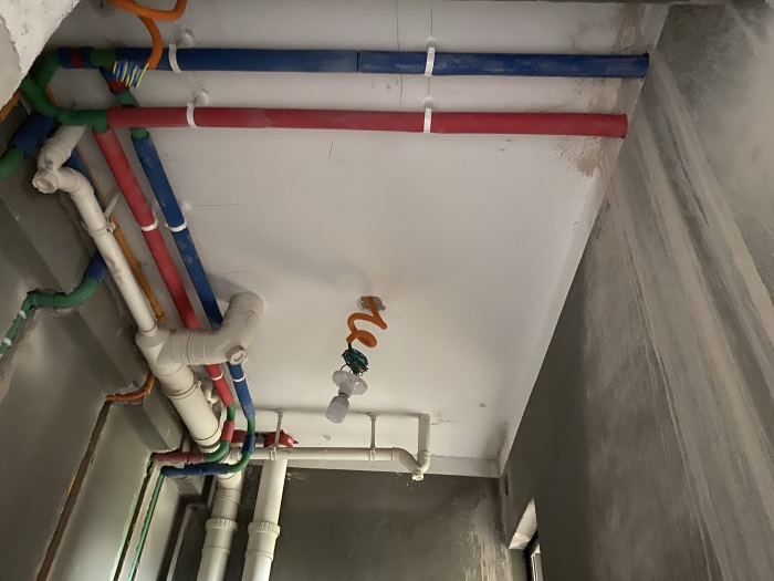 IMG_2865.JPG