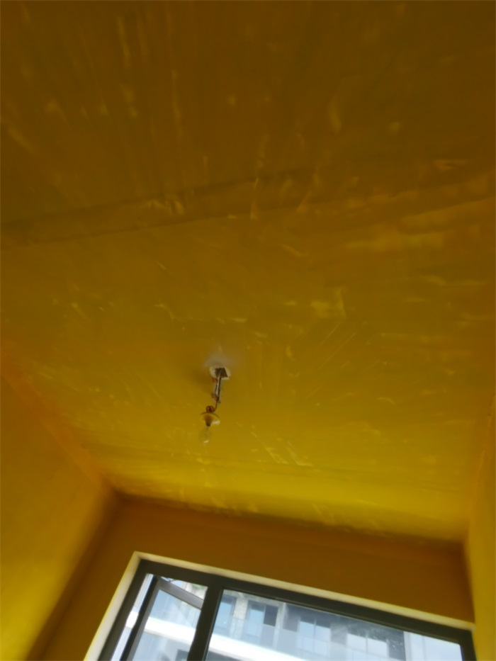 IMG_20220724_103848.jpg