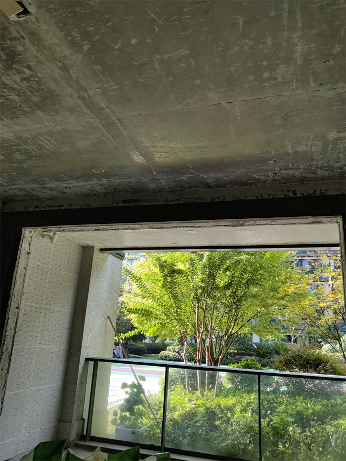 IMG_20220807_081544.jpg